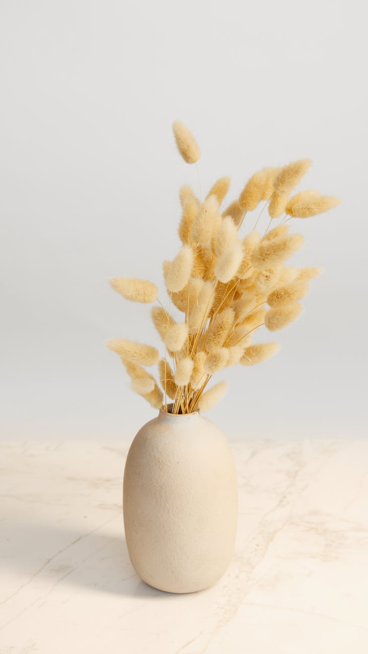 dried flowers in white ceramic vase